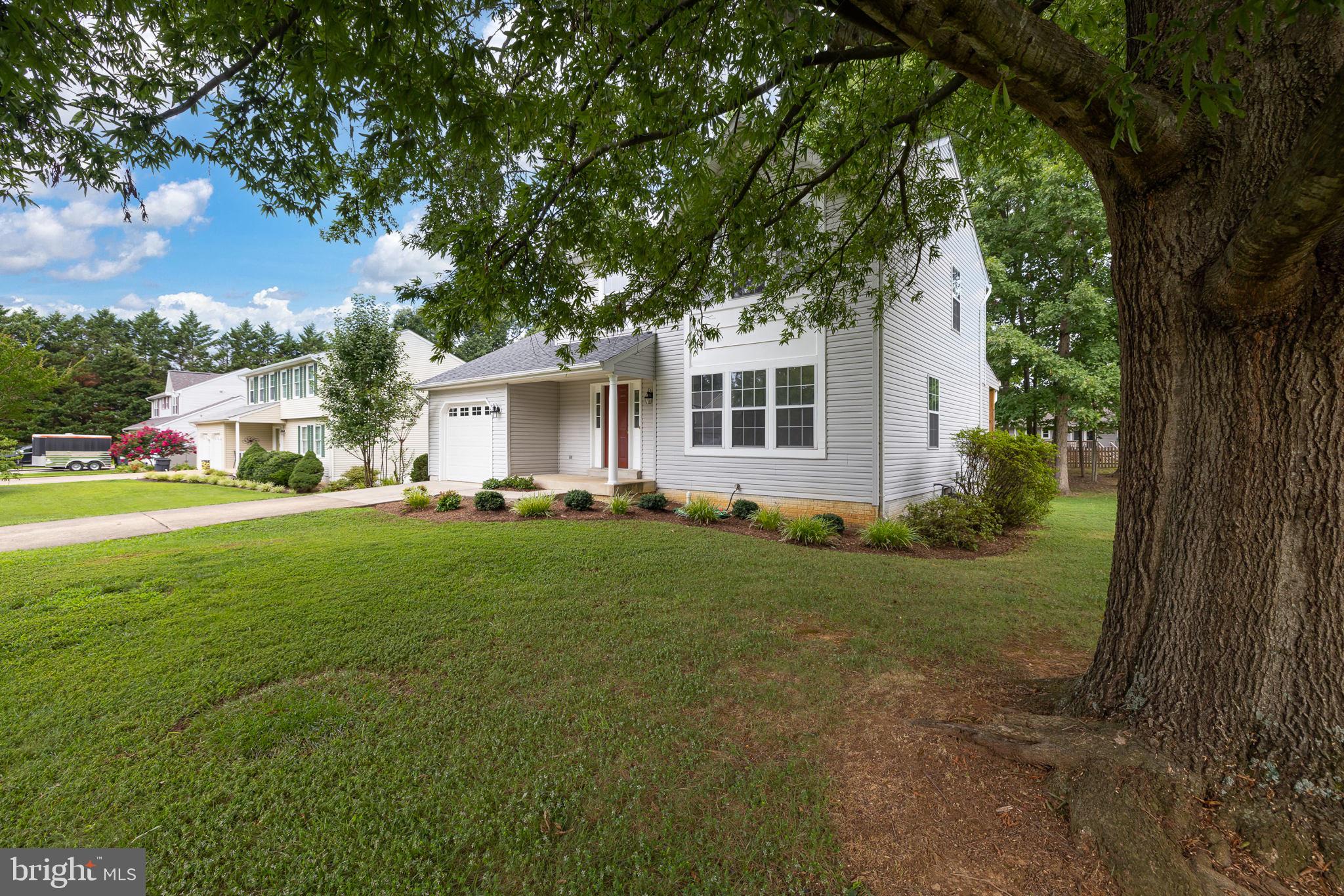7 Redskin Drive Fredericksburg, VA 22405 - Photo 5 of 39 Perfect tree for a swing