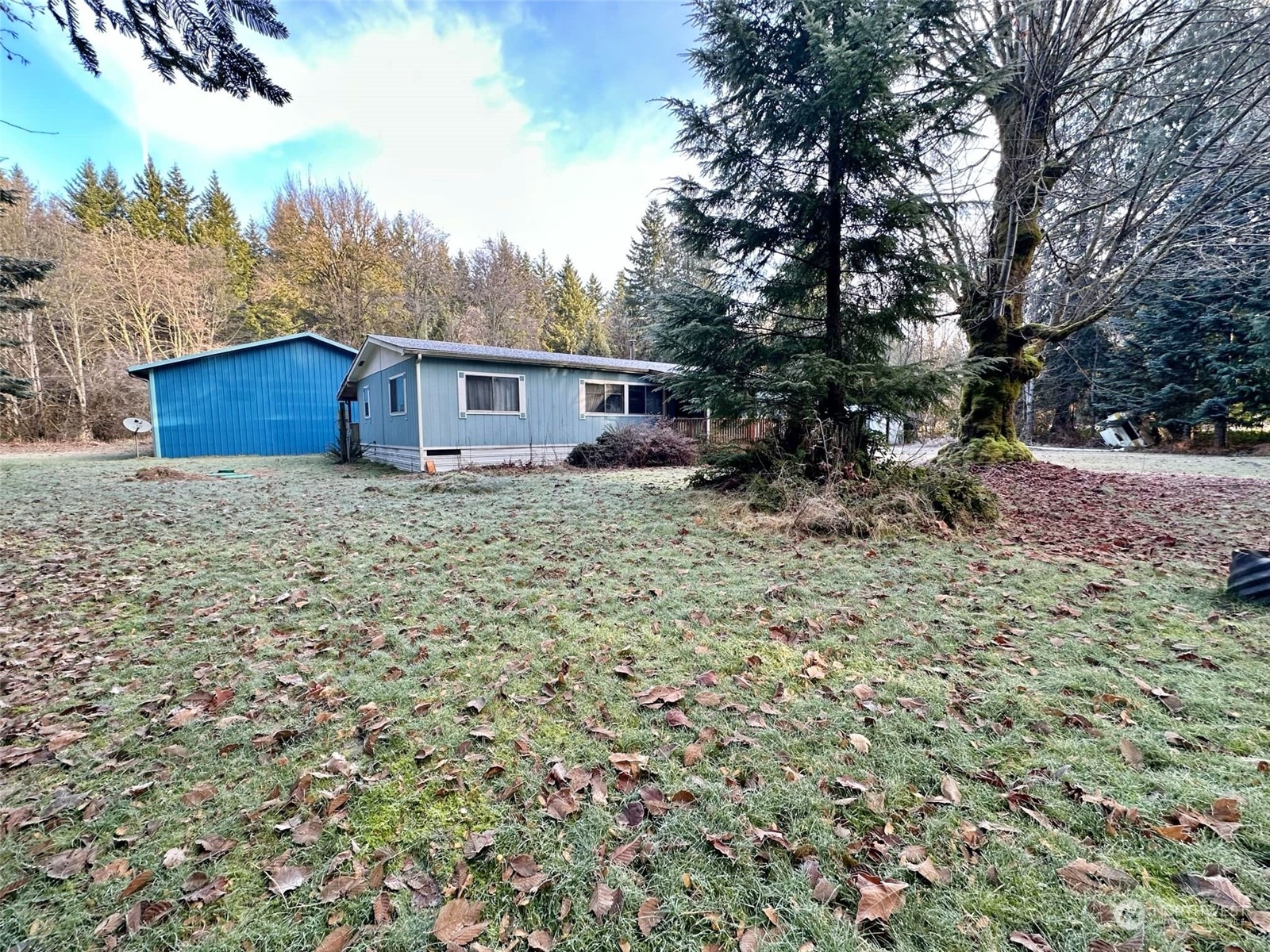 981 Peters Road Randle, WA 98377 - Photo 8 of 36 Gallery Image 8