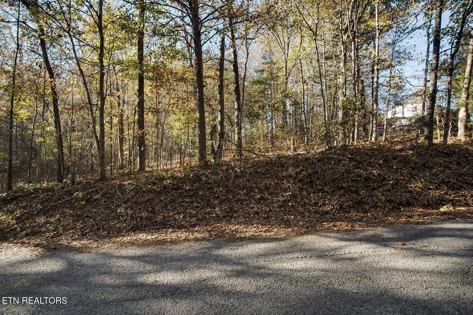 1-2 Morrison Road Decatur, TN 37322 - Photo 2 of 12 tempImagevP6QGB