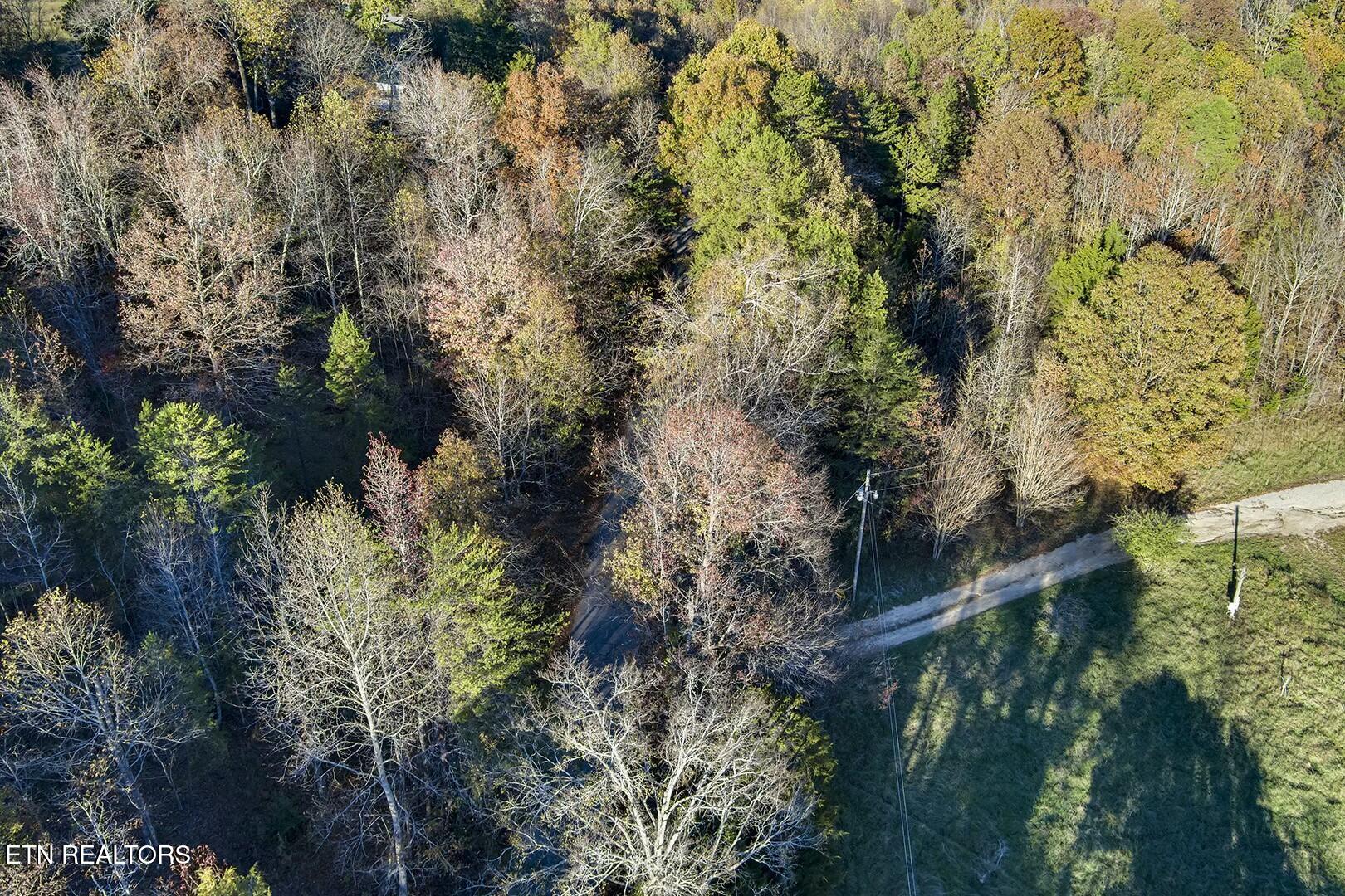 1-2 Morrison Road Decatur, TN 37322 - Photo 3 of 12 tempImageiIjSQb