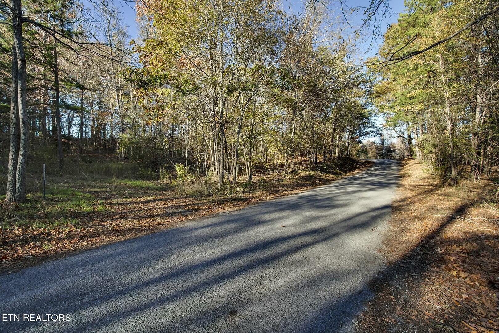 1-2 Morrison Road Decatur, TN 37322 - Photo 4 of 12 tempImagejQhyEb