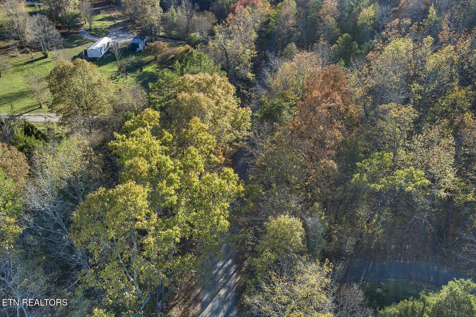 1-2 Morrison Road Decatur, TN 37322 - Photo 5 of 12 tempImagey35ZsN