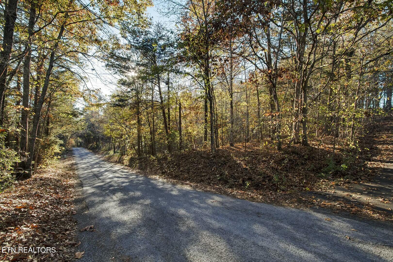 1-2 Morrison Road Decatur, TN 37322 - Photo 6 of 12 tempImageWnKpw5
