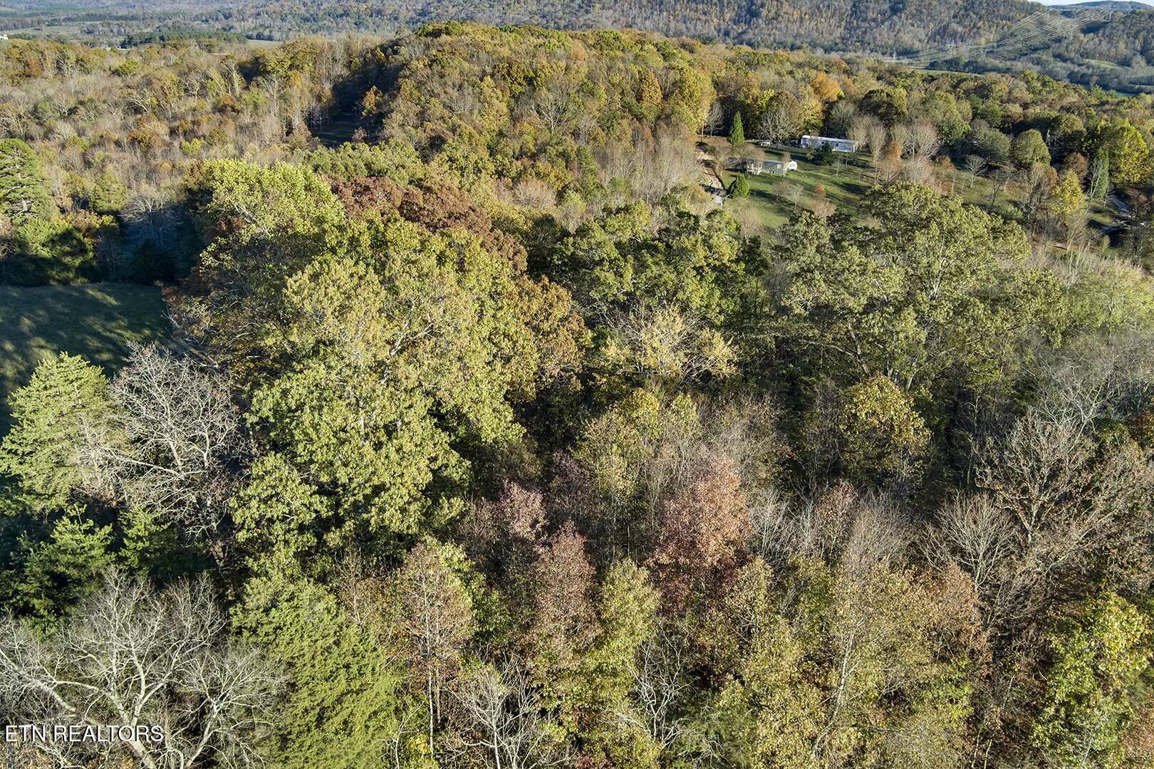 1-2 Morrison Road Decatur, TN 37322 - Photo 7 of 12 tempImageoKDRV2