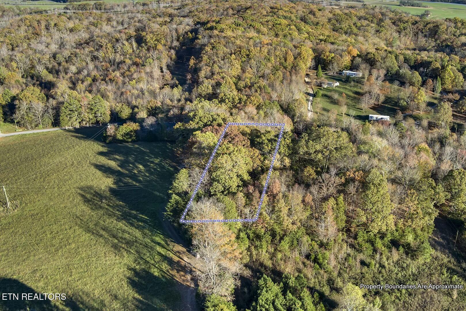 1-2 Morrison Road Decatur, TN 37322 - Photo 10 of 12 tempImagekPY86i