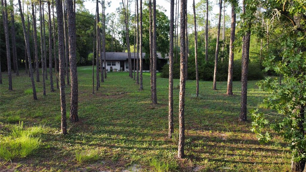 20790 Southwest 88th Place Road Dunnellon, FL 34431 - Photo 47 of 52 Gallery Image 47