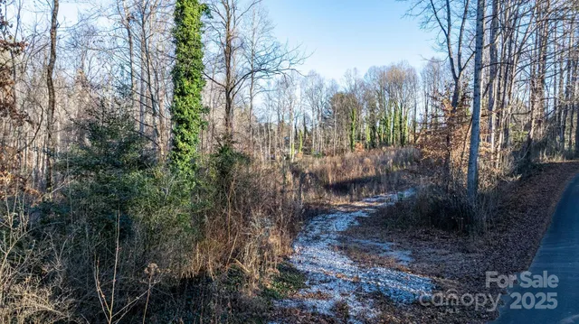 a view of a yard with plants and trees