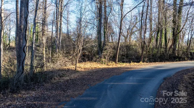 a view of a yard with trees