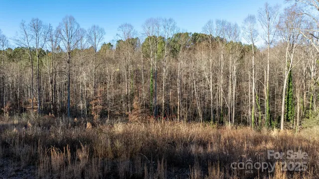 a view of a yard with trees