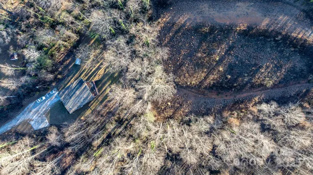 a view of a yard in a backyard