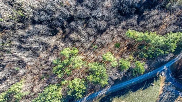 a view of a yard with trees