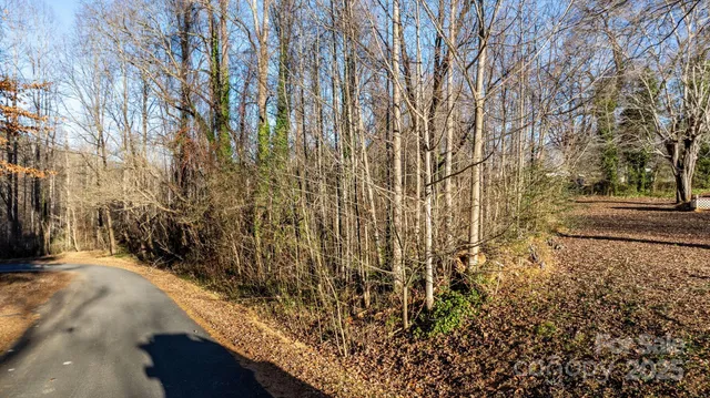 a view of a yard with plants and wooden fence