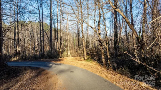 a view of backyard with green space