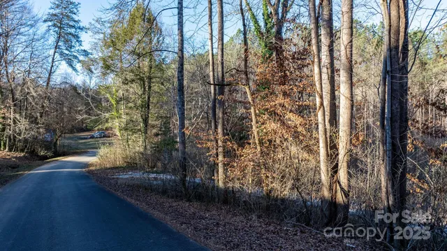 a view of a pathway with a yard