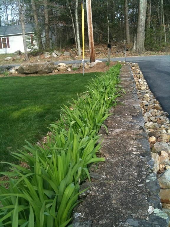 211 New Boston Road Sturbridge, MA 01566 - Photo 8 of 23 a view of a backyard with large trees