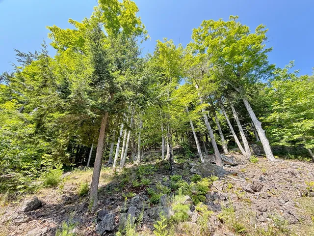 $525,000 | 325 Lower Dedham Road, Holden, ME 04429