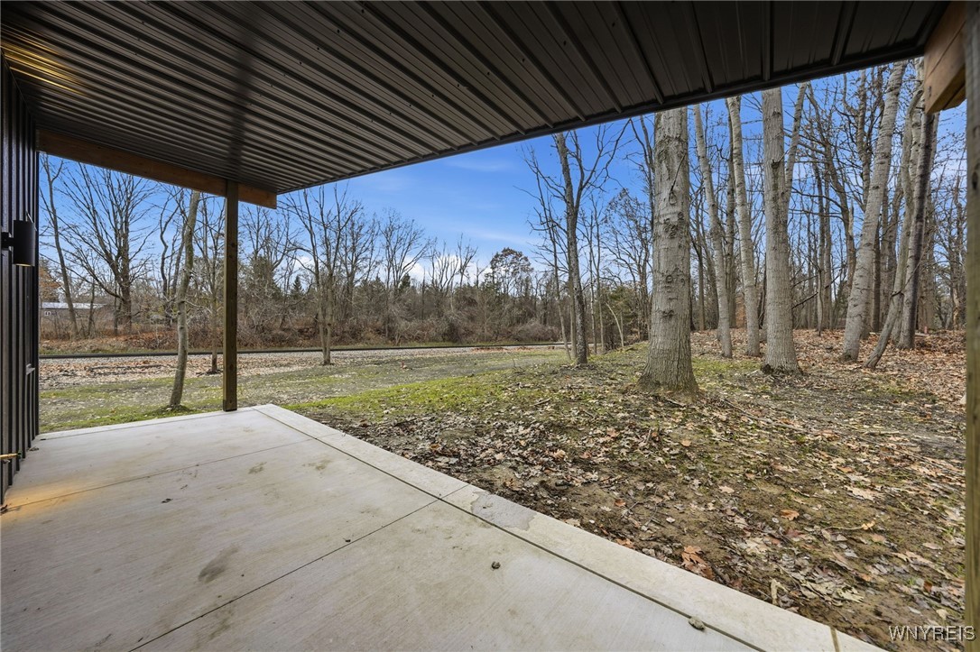 1221 Rice Road Elma, NY 14059 - Photo 33 of 49