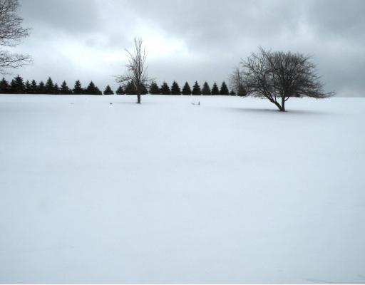 382 Munce Road Washington, PA 15301 - Photo 17 of 18 Other. Yard