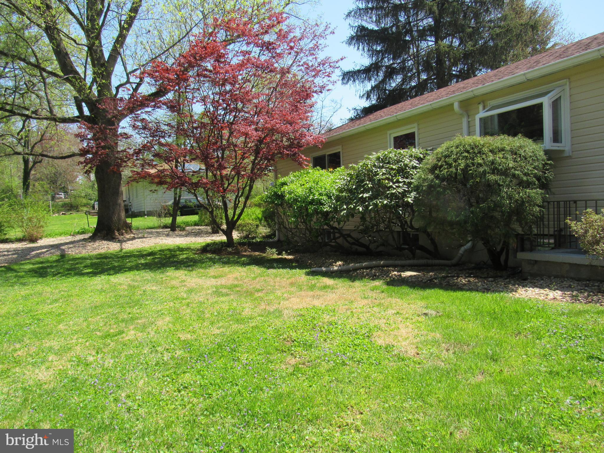 8710 Windsor Mill Road Baltimore, MD 21244 - Photo 30 of 30 a view of a backyard with potted plants and large trees