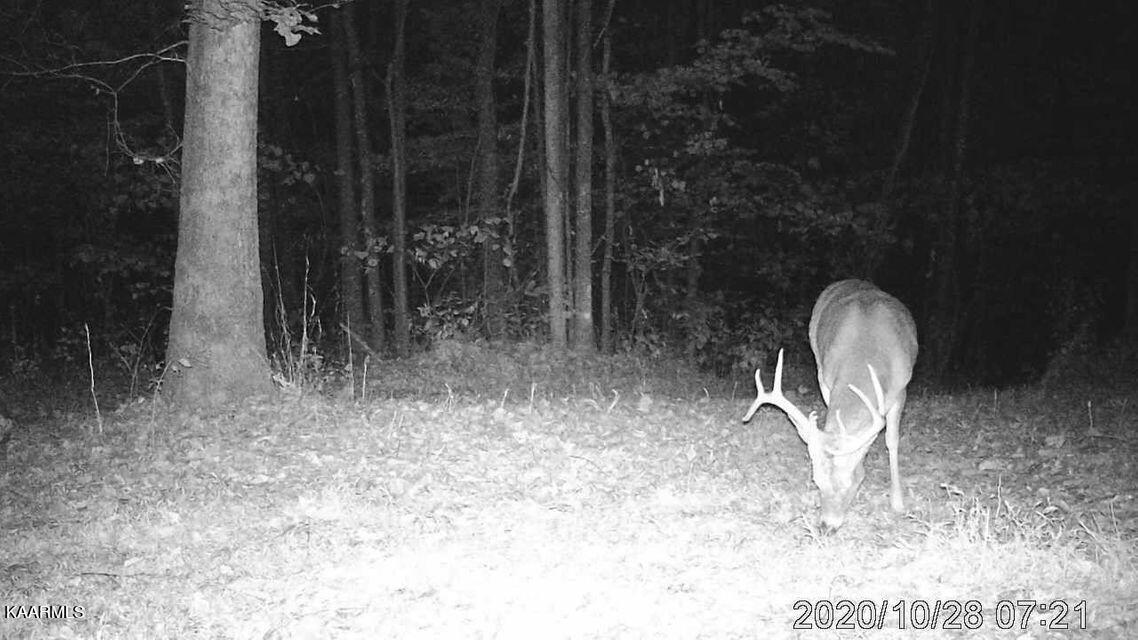 Hagan Road Jonesville, VA 24263 - Photo 10 of 14 20210104214322296365000000-o