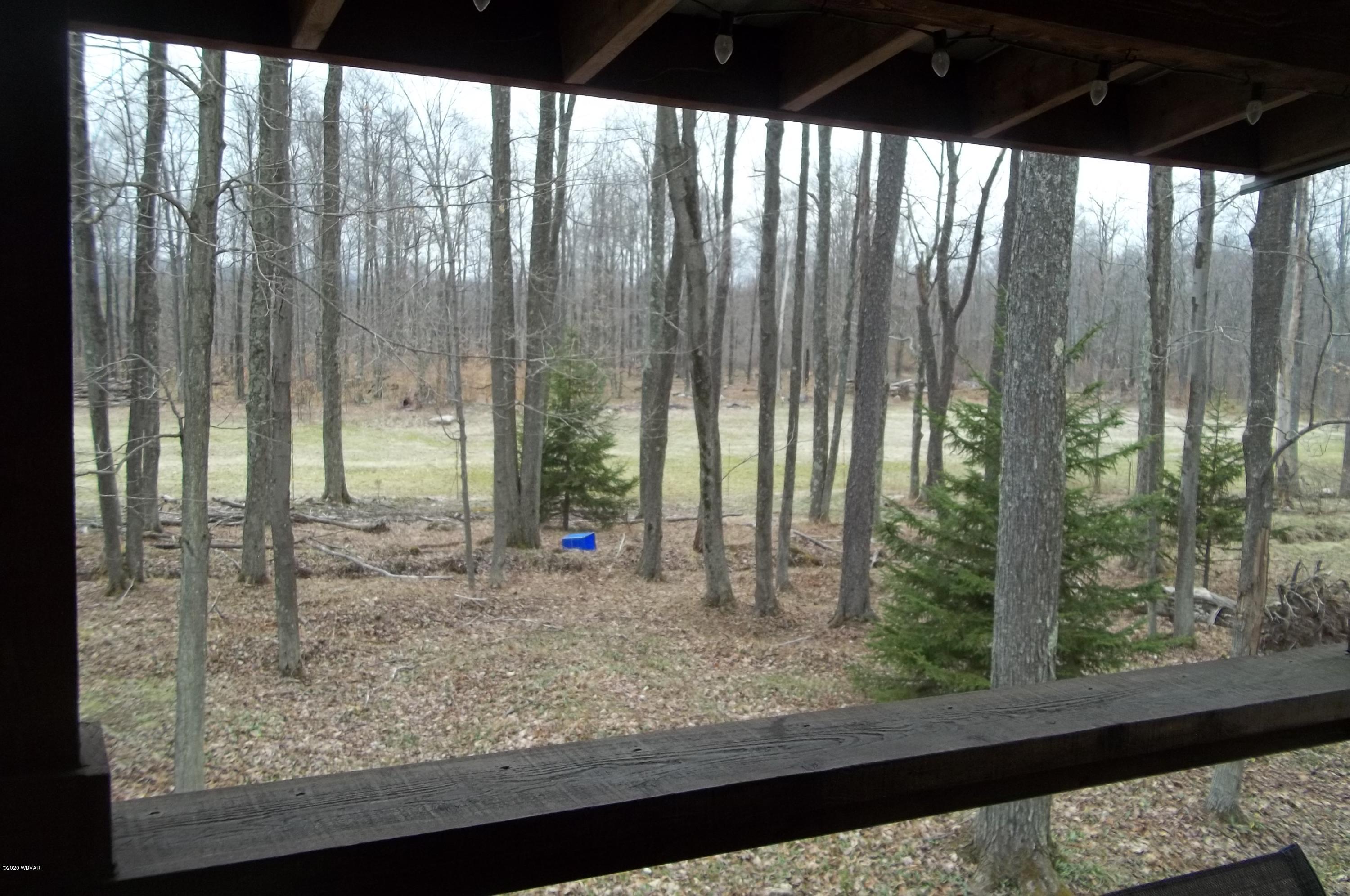4592 Dutch Mountain Road Dushore, PA 18614 - Photo 22 of 27 Gallery Image 22