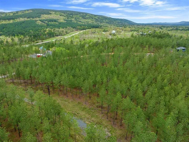 a view of a lush green space