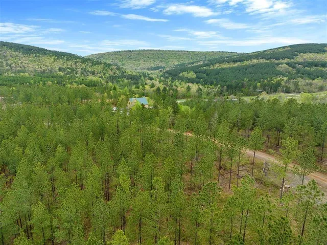 a view of a green field with lots of plants in it