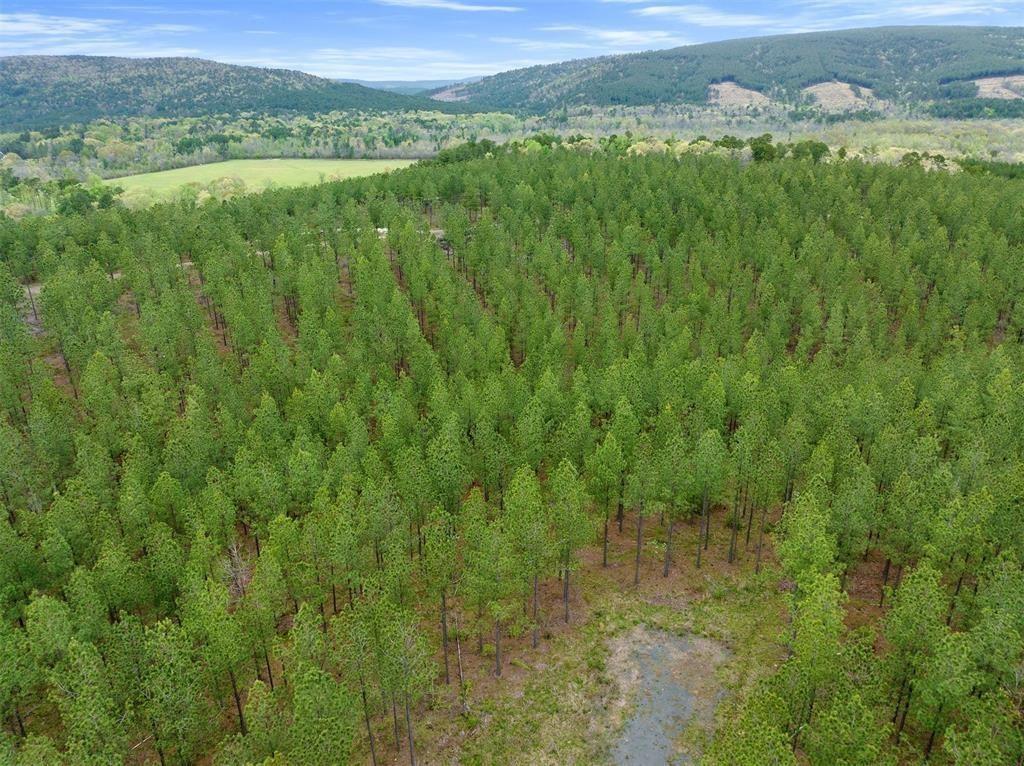 6 Three Waters No City, OK 74857 - Photo 5 of 13 a view of a lush green hillside and houses