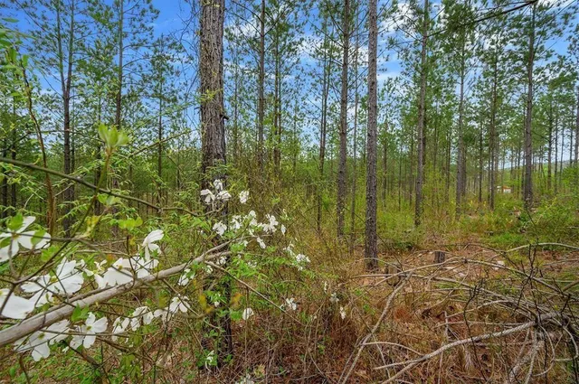 a view of lake with green space