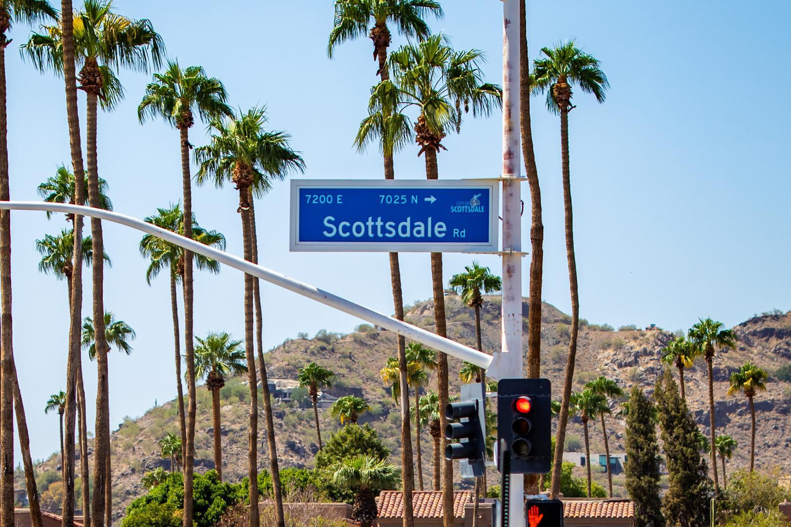 7027 North Scottsdale Road, Unit 225 Scottsdale, AZ 85253 - Photo 10 of 48 a view of a palm tree with a palm tree