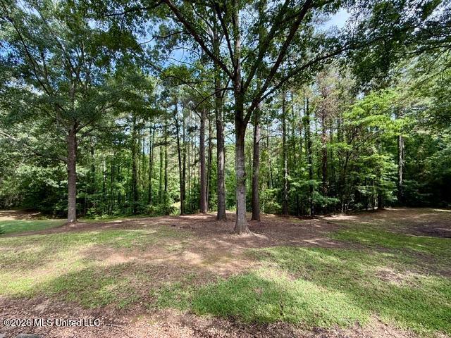 55 Scheffel Road Natchez, MS 39120 - Photo 9 of 29 55 Scheffel Pic 9