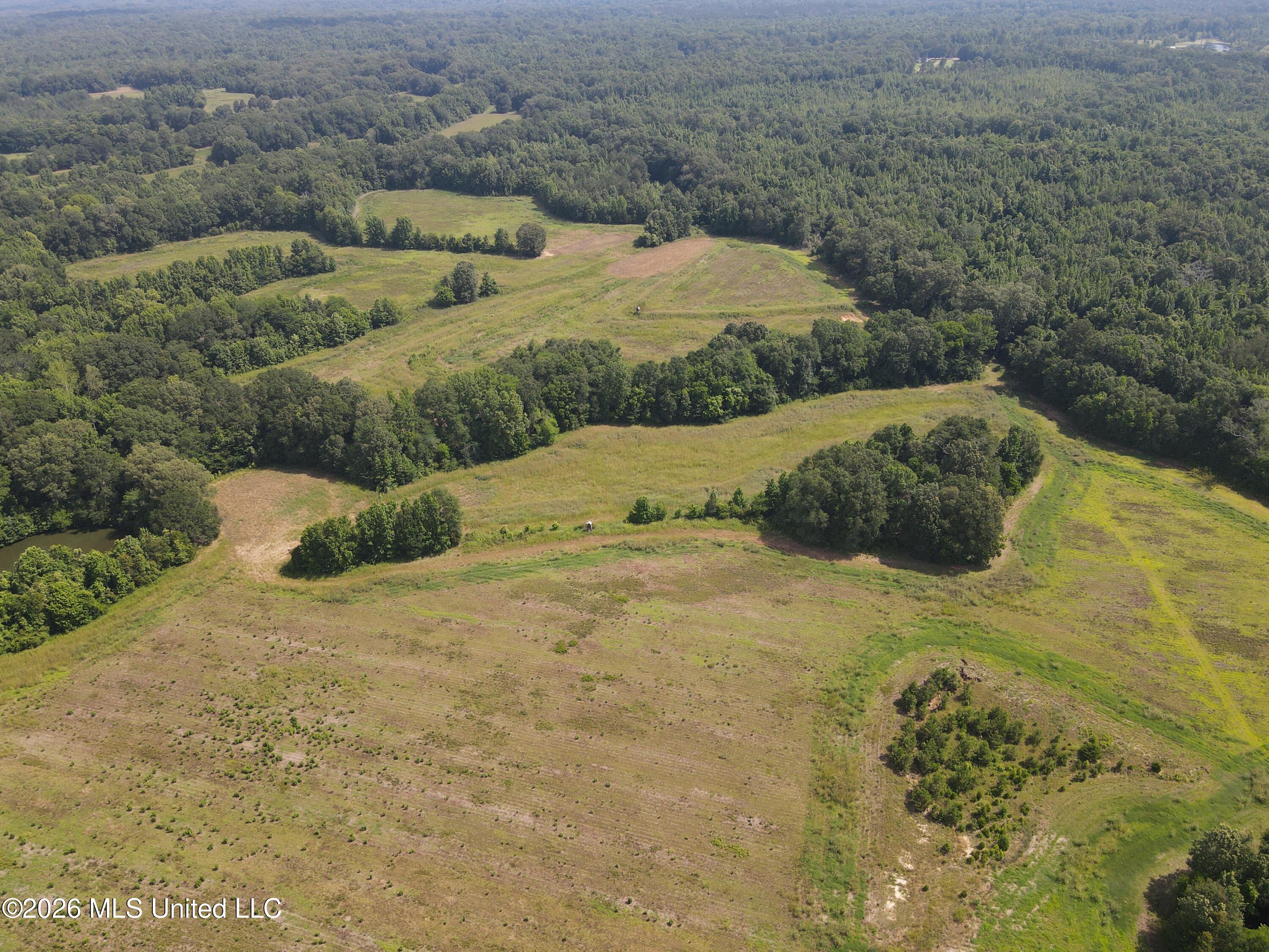 Old Port Edwards, MS 39066 - Photo 41 of 65 AMIO9761