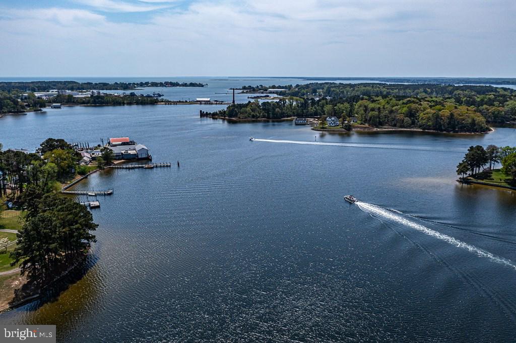 742 Main Street Reedville, VA 22539 - Photo 42 of 66 Serene waterscape with lush shores.