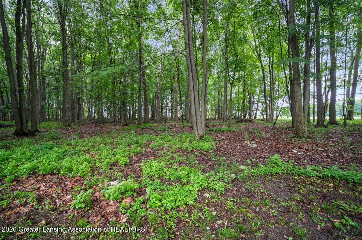 1520 Shepard Road Crystal, MI 48818 - Photo 49 of 59 53-LOT IN BACK 04