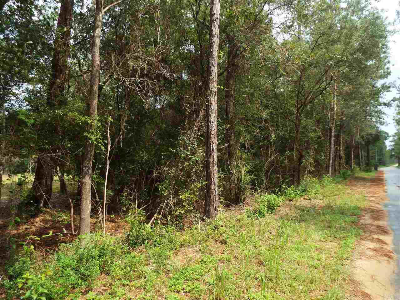 0 Deer Lake Road Milton, FL 32583 - Photo 1 of 13 Gallery Image 1