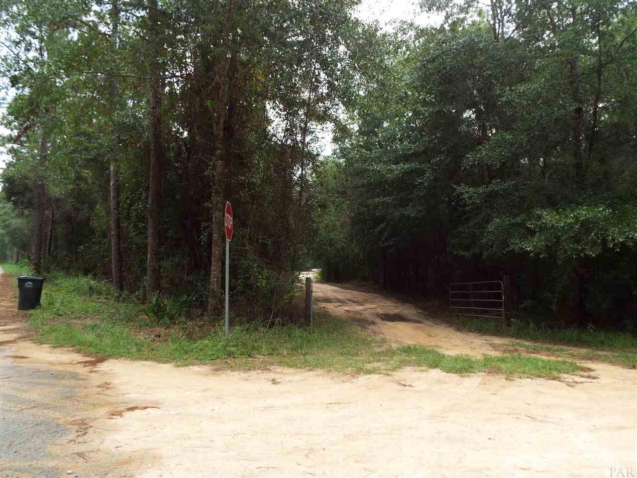 0 Deer Lake Road Milton, FL 32583 - Photo 3 of 13 Gallery Image 3