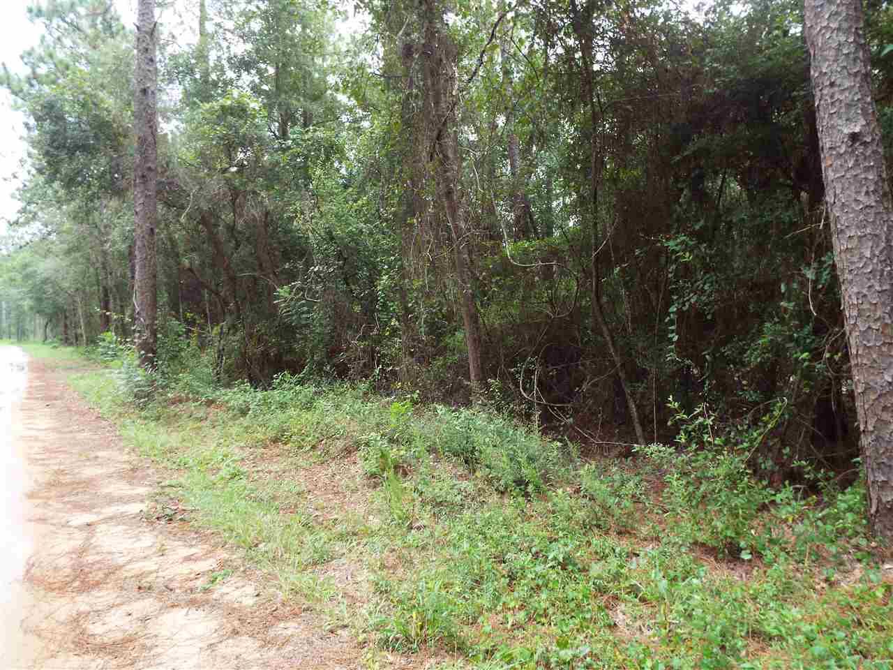 0 Deer Lake Road Milton, FL 32583 - Photo 4 of 13 Gallery Image 4