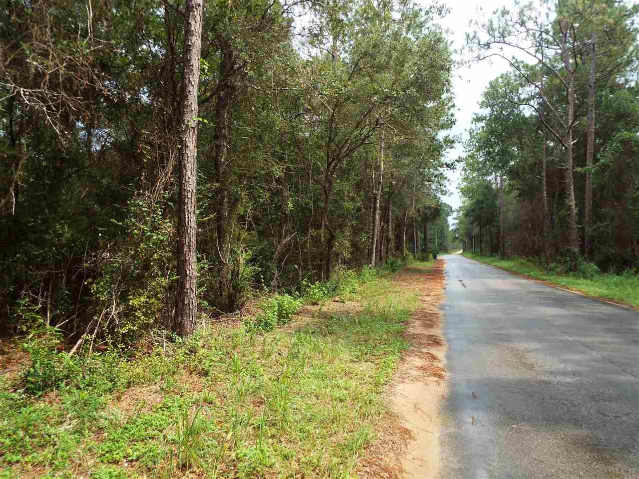 0 Deer Lake Road Milton, FL 32583 - Photo 5 of 13 Gallery Image 5