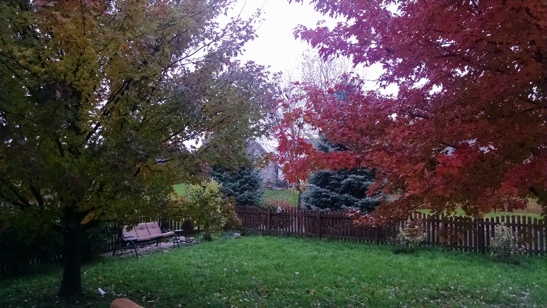 1409 Bridgehampton Drive Plainfield, IL 60586 - Photo 30 of 32