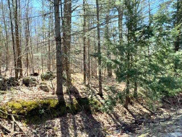 Lot 15 Lovell Road Harrison, ME 04040 - Photo 3 of 14 3.67+/- acres
