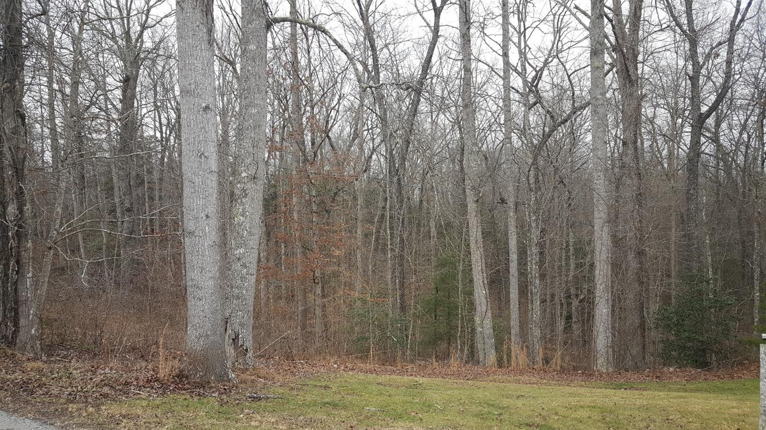 1 Clark Bottom Road London, KY 40744 - Photo 5 of 6 Photo 5