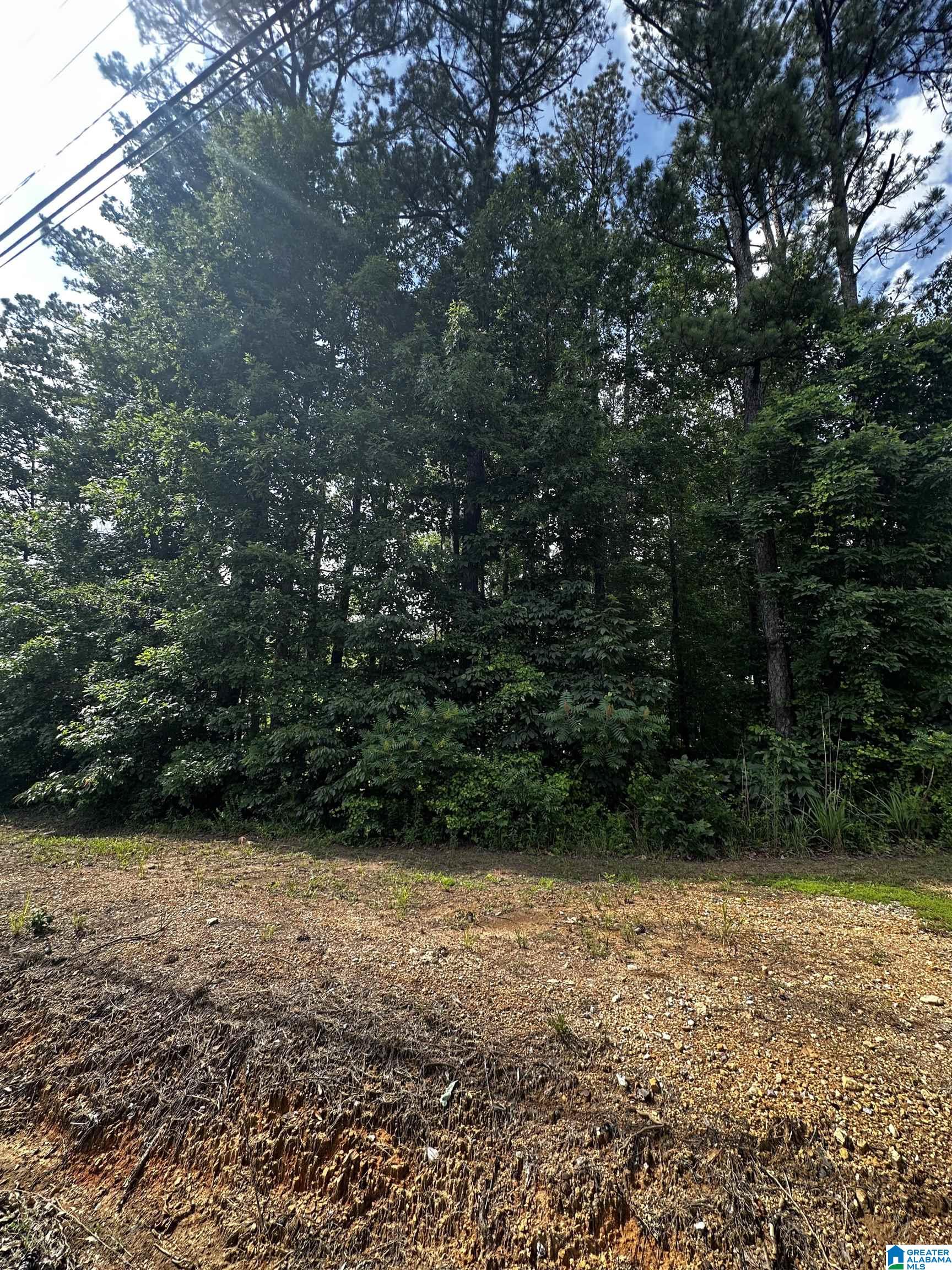Sandy Drive, Unit 69 McCalla, AL 35111 - Photo 1 of 4