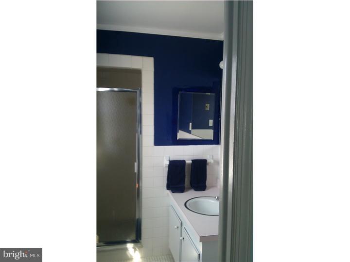 713 West Rolling Road Springfield, PA 19064 - Photo 11 of 17 Master Bathroom