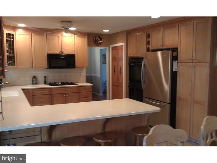 713 West Rolling Road Springfield, PA 19064 - Photo 5 of 17 Kitchen