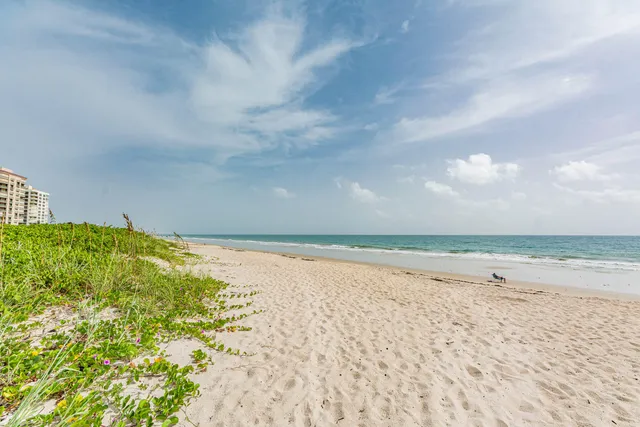 a view of an ocean beach and beach