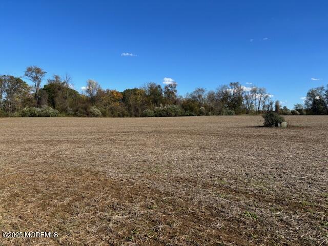 168 Burlington Path Road Cream Ridge, NJ 08514 - Photo 3 of 9 IMG_3407