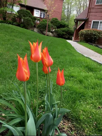 $420,000 | 702 Autumn Lane, Brewster, NY 10509