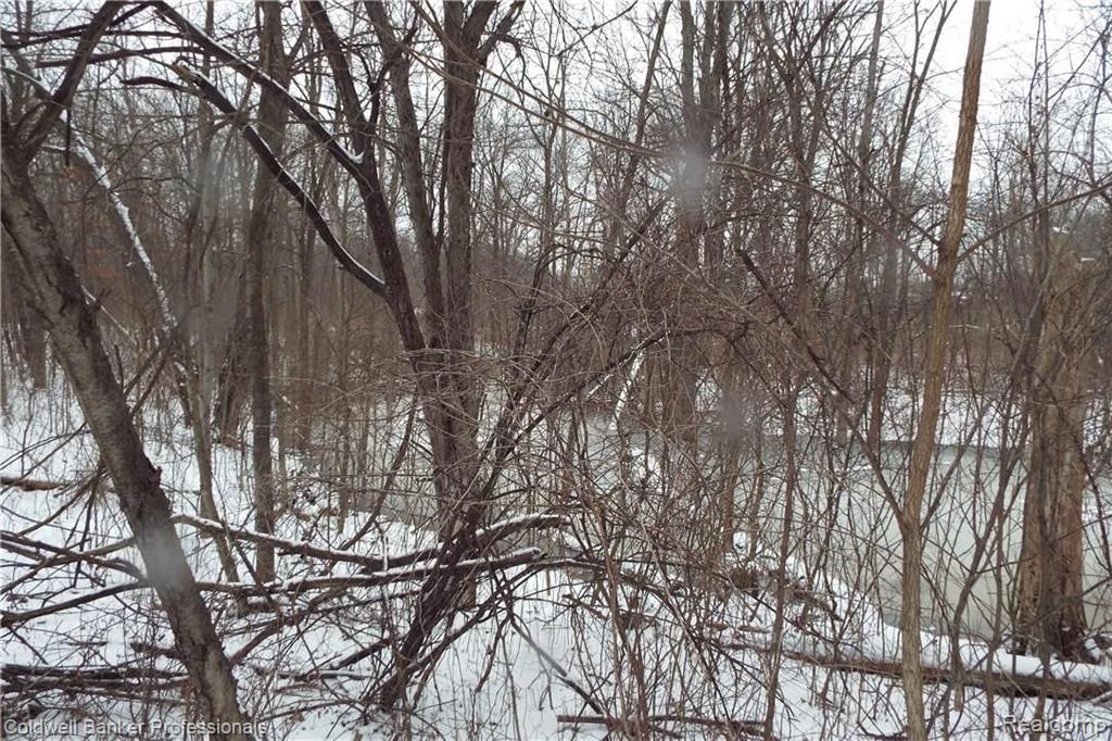 Eight West Eight Mile Road South Lyon, MI 48178 - Photo 41 of 58
