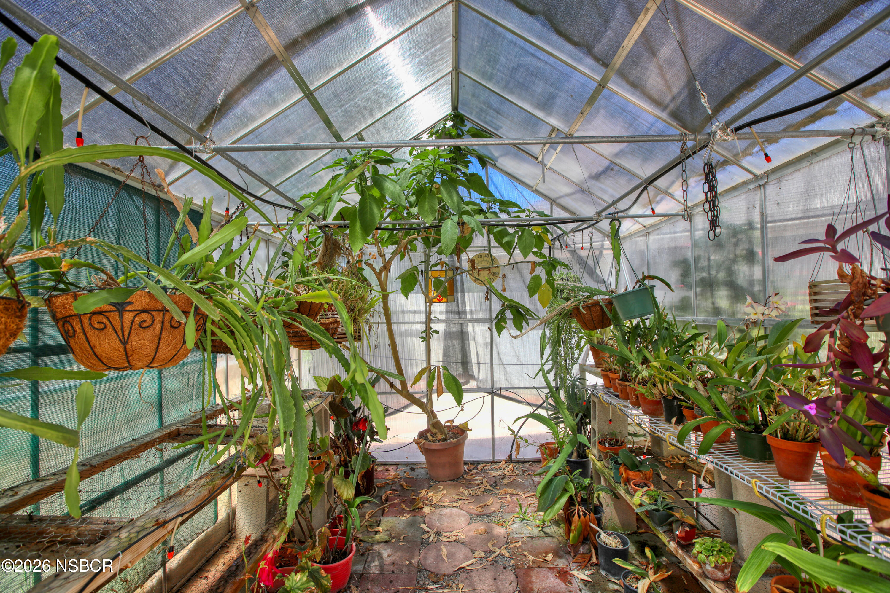 435-433 Eucalyptus Road, Unit 435433 Nipomo, CA 93444 - Photo 45 of 78 Green House Plants Inside