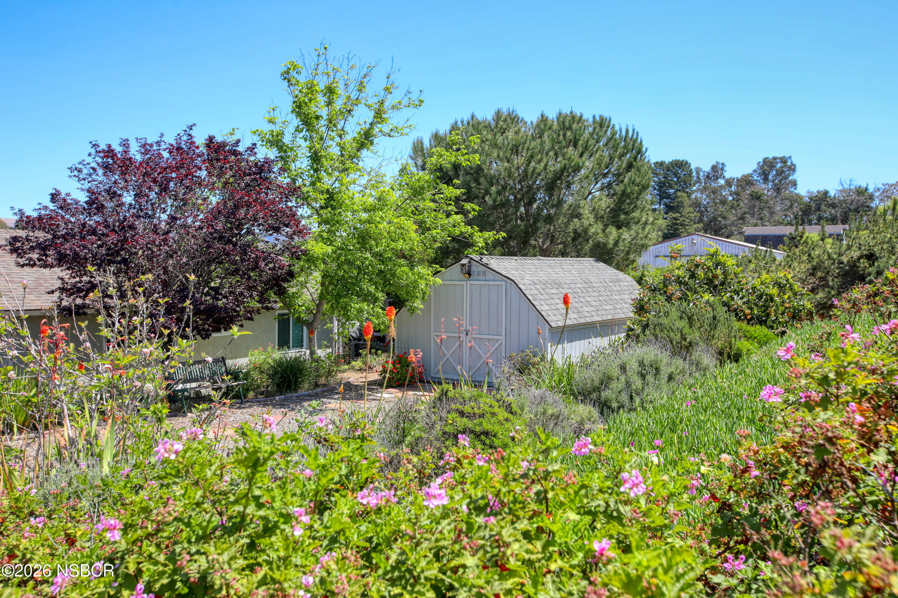 435-433 Eucalyptus Road, Unit 435433 Nipomo, CA 93444 - Photo 58 of 78 a backyard of a house with lots of green space and trees all around